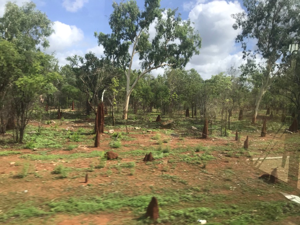 Day 24: The Road to&nbsp;Darwin.